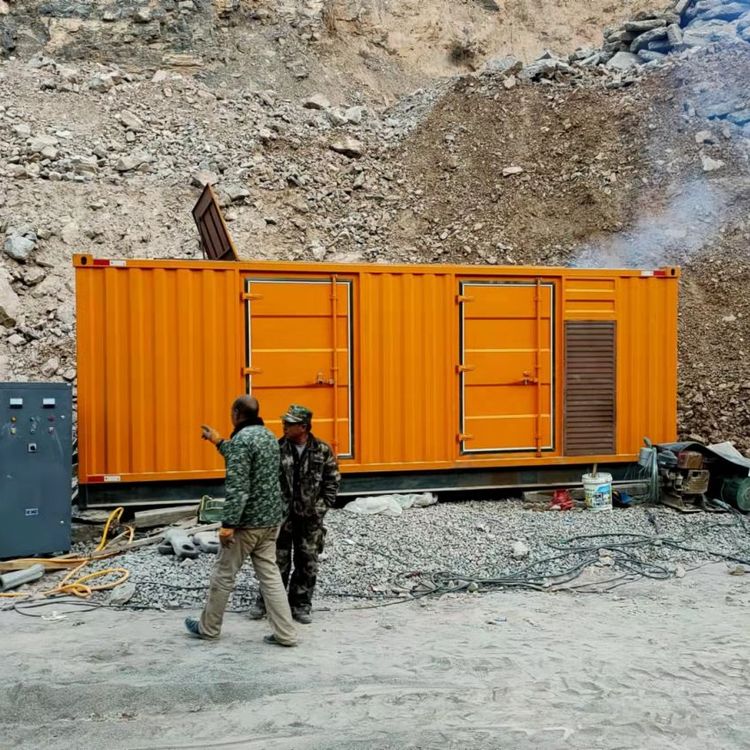 崇明如何选择适合自己的 800KW 柴油发电机组？